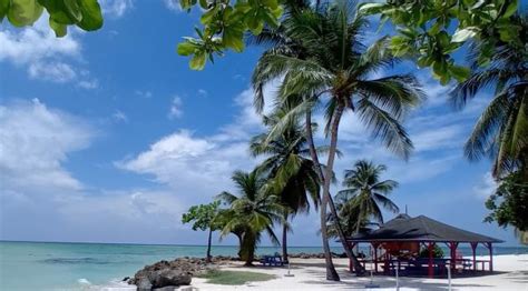 cheap flights to trinidad|$77 CHEAP FLIGHTS to Trinidad and Tobago .